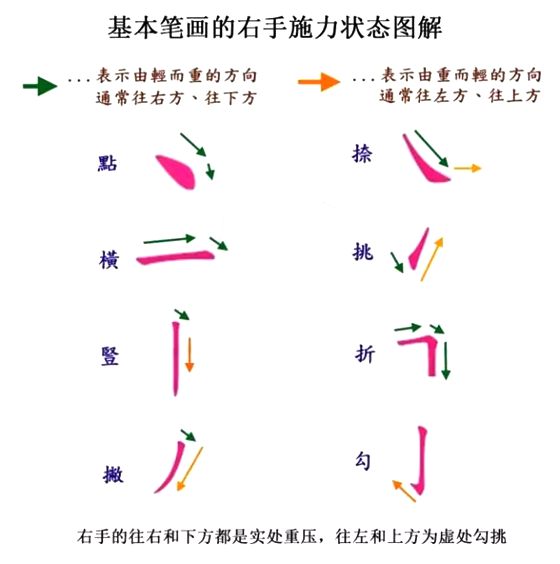 為什么大多數人用右手寫字,為什么外國人用左手寫字的多