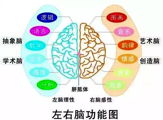 為什么大多數人用右手寫字,為什么外國人用左手寫字的多