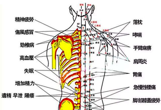 拔罐位置及功效圖