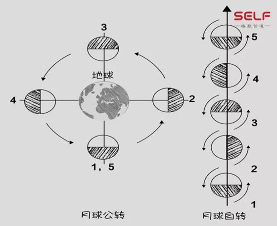 為什么我們只能看到月球的一面,月球的背面是什么