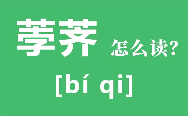 荸薺怎么讀,荸薺是什么,荸薺怎么吃,荸薺的功效與作用