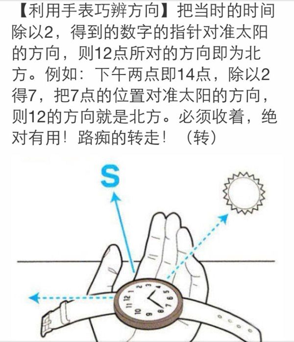 指南針為什么不叫指北針,大自然的指南針有哪些