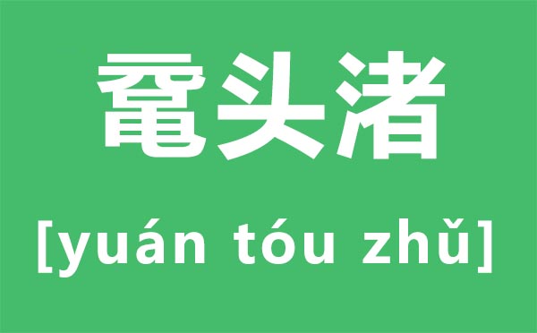 黿頭渚怎么讀拼音是什么,無(wú)錫黿頭渚是什么地方