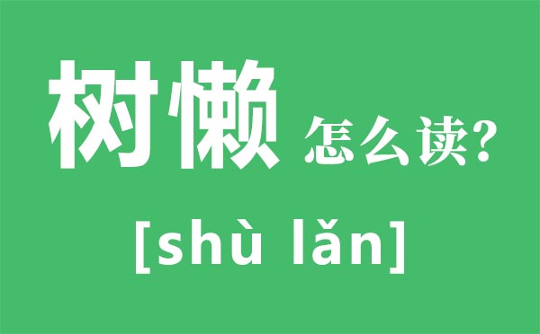 樹懶怎么讀,樹懶和考拉的區(qū)別,樹懶為什么這么慢