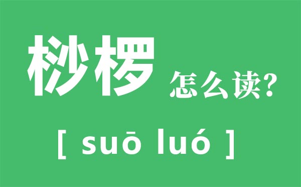 桫欏怎么讀拼音是什么,桫欏是什么植物,桫欏樹介紹