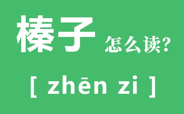 榛子怎么讀,榛子是什么,榛子的功效與作用