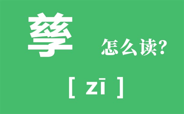 孳怎么讀,上面茲下面子念什么,孳是什么意思