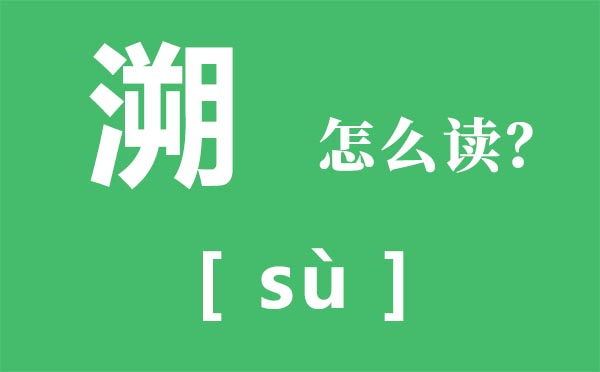 溯怎么讀,溯的拼音,追溯是什么意思