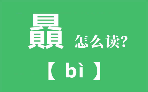 贔怎么讀,三個(gè)繁體的貝怎么念,贔的拼音,贔字是什么意思