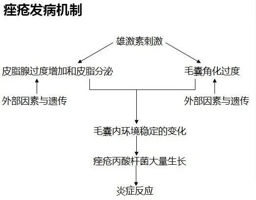 痤瘡怎么讀,痤瘡的拼音是什么,痤瘡的治療方法