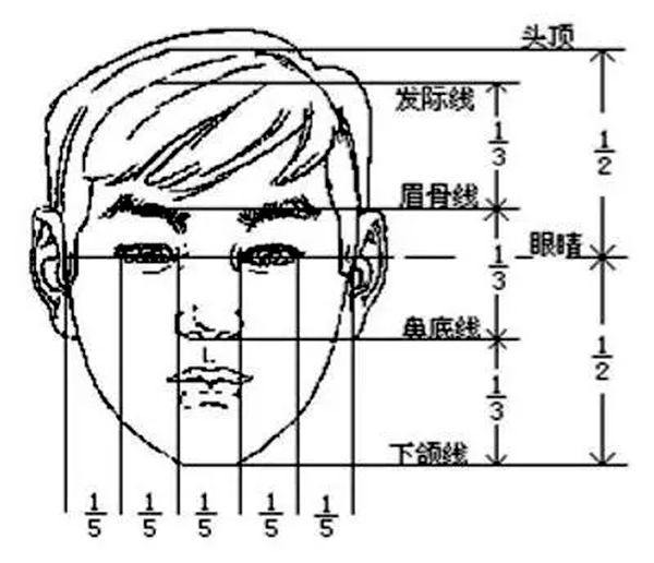 發(fā)際線為什么會后移,發(fā)際線后移該怎么辦