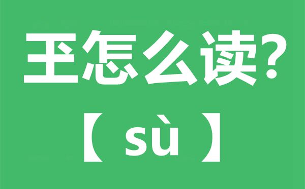 玊怎么讀,玊念什么,玊字的拼音,玊字是什么意思