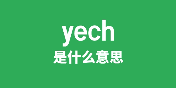 yech是什么意思