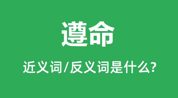 遵命的近義詞和反義詞是什么,遵命是什么意思