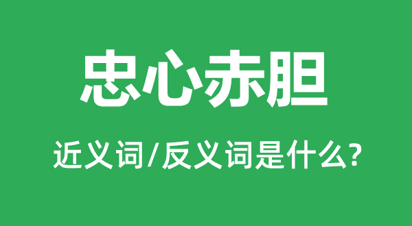 忠心赤膽的近義詞和反義詞是什么,忠心赤膽是什么意思