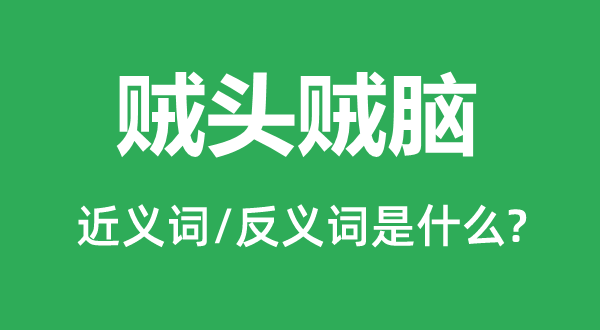 賊頭賊腦的近義詞和反義詞是什么,賊頭賊腦是什么意思