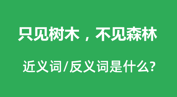 只見樹木，不見森林的近義詞和反義詞是什么,只見樹木，不見森林是什么意思