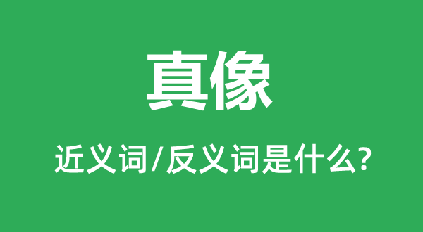 真像的近義詞和反義詞是什么,真像是什么意思