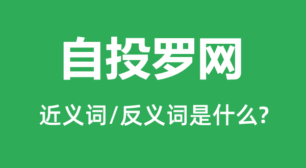 自投羅網(wǎng)的近義詞和反義詞是什么,自投羅網(wǎng)是什么意思