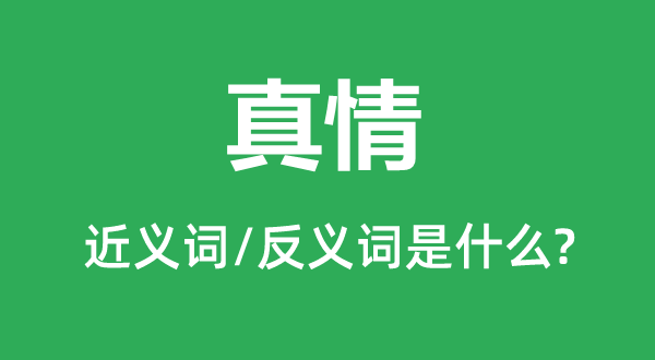 真情的近義詞和反義詞是什么,真情是什么意思