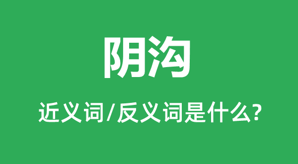 陰溝的近義詞和反義詞是什么,陰溝是什么意思