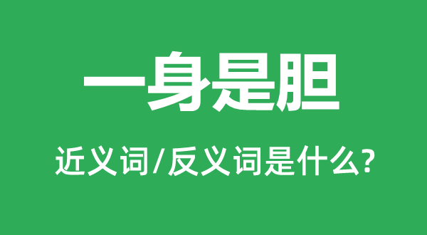 一身是膽的近義詞和反義詞是什么,一身是膽是什么意思