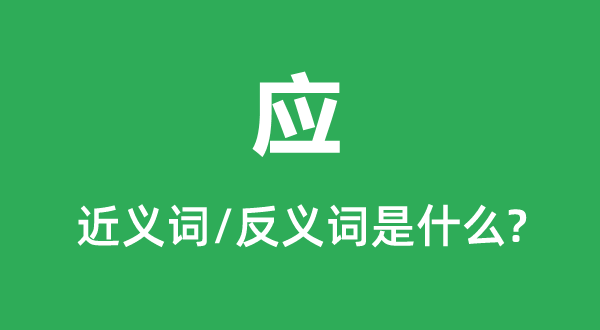 應的近義詞和反義詞是什么,應是什么意思