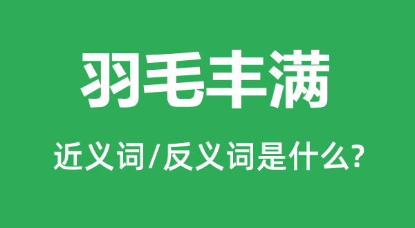 羽毛豐滿的近義詞和反義詞是什么,羽毛豐滿是什么意思