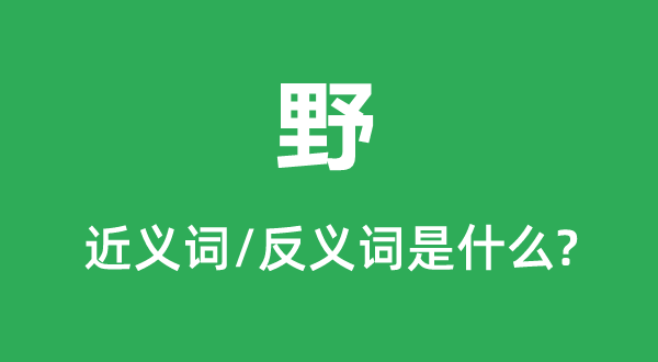 野的近義詞和反義詞是什么,野是什么意思