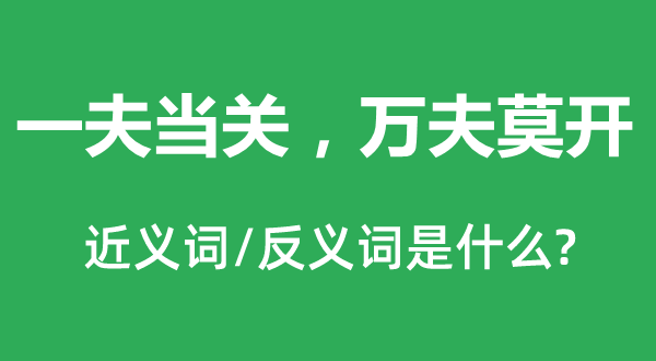 一夫當關，萬夫莫開的近義詞和反義詞是什么,一夫當關，萬夫莫開是什么意思