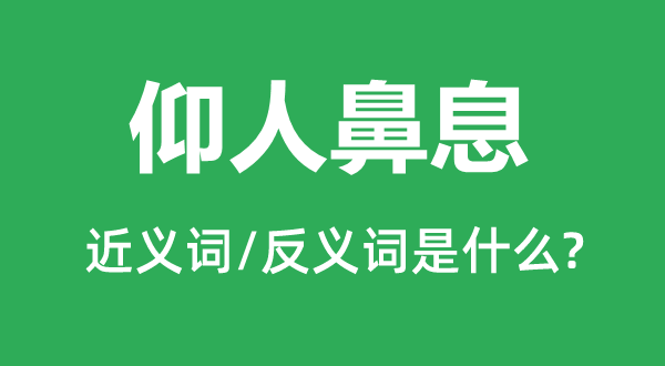 仰人鼻息的近義詞和反義詞是什么,仰人鼻息是什么意思