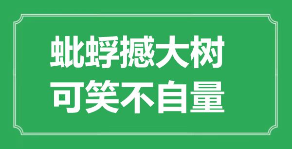 “蚍蜉撼大樹，可笑不自量”是什么意思,出處是哪里