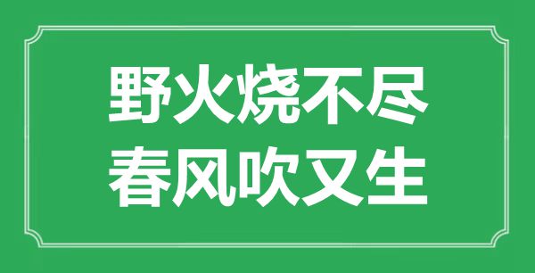 “野火燒不盡，春風吹又生”是什么意思,出處是哪里