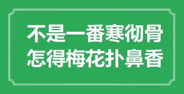 “不是一番寒徹骨，怎得梅花撲鼻香”是什么意思,出處是哪里