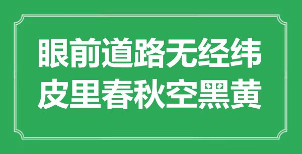 “眼前道路無經(jīng)緯，皮里春秋空黑黃”是什么意思,出處是哪里