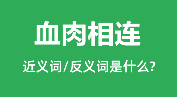 血肉相連的近義詞和反義詞是什么,血肉相連是什么意思