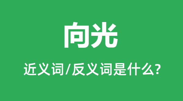 向光的近義詞和反義詞是什么,向光是什么意思