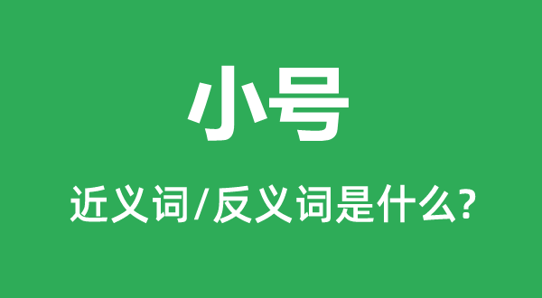 小號的近義詞和反義詞是什么,小號是什么意思