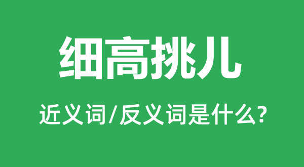 細高挑兒的近義詞和反義詞是什么,細高挑兒是什么意思