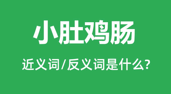 小肚雞腸的近義詞和反義詞是什么,小肚雞腸是什么意思