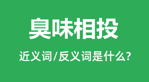 臭味相投的近義詞和反義詞是什么,臭味相投是什么意思