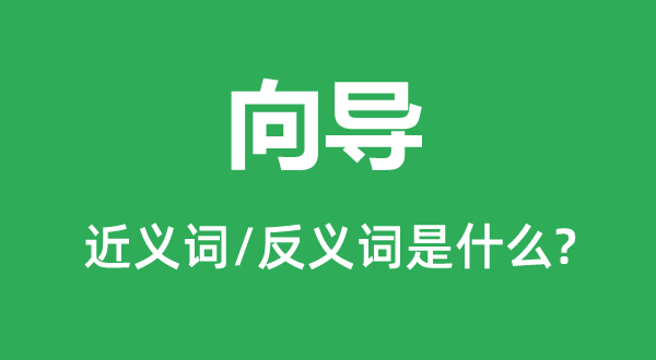 向導的近義詞和反義詞是什么,向導是什么意思