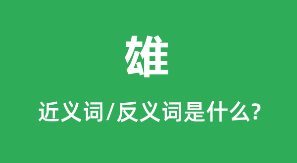 雄的近義詞和反義詞是什么,雄是什么意思