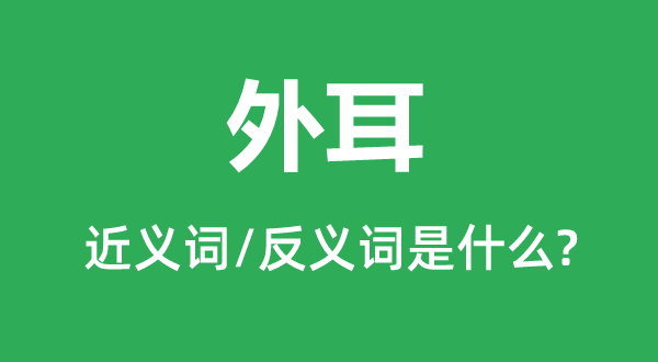 外耳的近義詞和反義詞是什么,外耳是什么意思