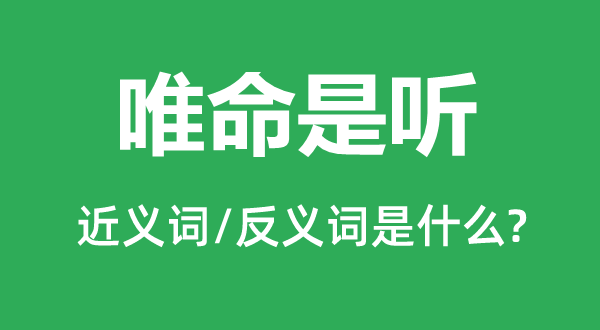 唯命是聽的近義詞和反義詞是什么,唯命是聽是什么意思