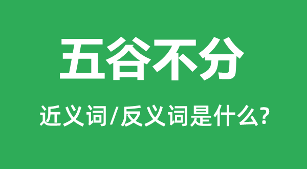 五谷不分的近義詞和反義詞是什么,五谷不分是什么意思