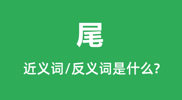 尾的近義詞和反義詞是什么,尾是什么意思