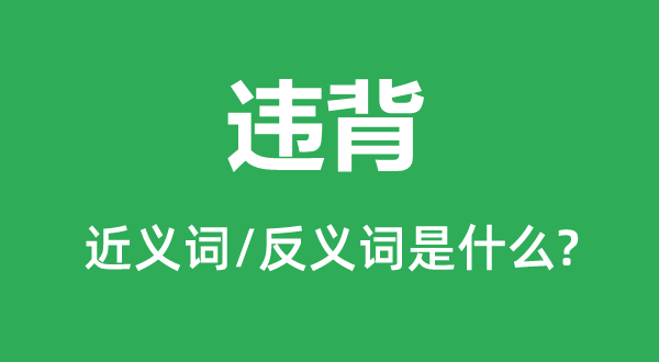 違背的近義詞和反義詞是什么,違背是什么意思