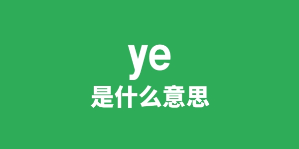 ye是什么意思