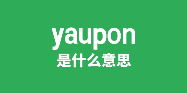 yaupon是什么意思